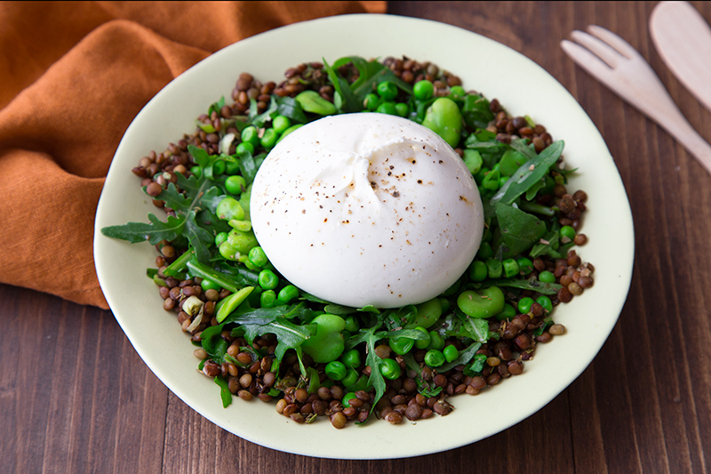Salade lentilles burrata